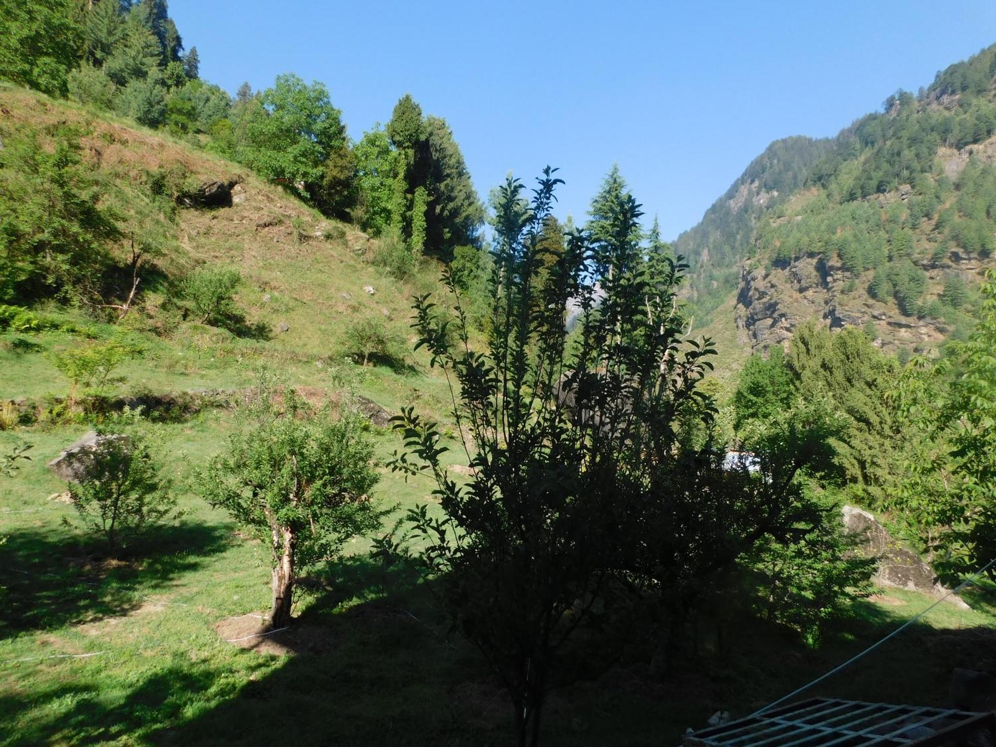 The Sigiriya Old Manali (Himachal Pradesh)
